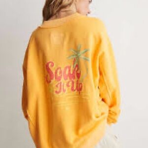 NWT Aerie V-neck Sweatshirt